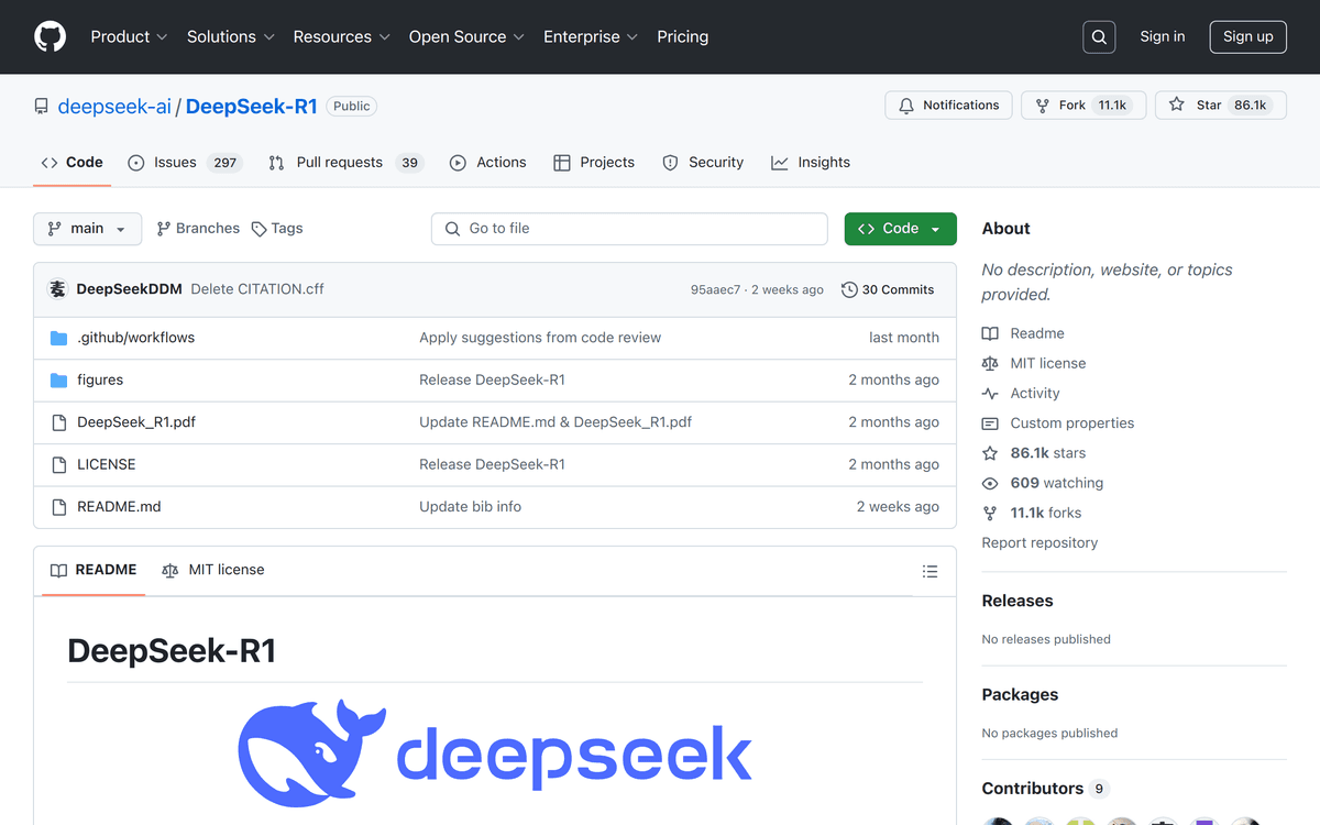 DeepSeek R1